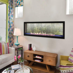 Empire 48" Boulevard Double-Sided Direct Vent Linear Gas Fireplace with Multi-Function Remote DVLL48SP90P