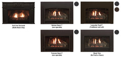 Empire 25" Franklin Clean-Face Direct Vent Gas Fireplace Insert with Log Set and Blower DVC20IN31P