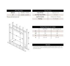 Empire 40" Renegade Clean-Face Double-Sided Direct Vent Gas Fireplace with TruFlame Technology DVCT40CSP95P