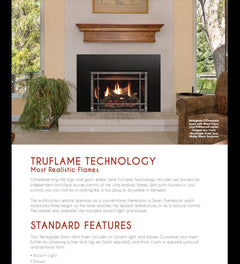 Empire 30" Renegade Clean-Face Direct Vent Gas Fireplace Insert with Multi-Function Remote and Blower DVCT30CBN95P
