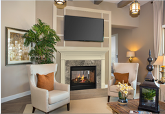 Majestic See-Through 36 Inch Multi-Sided Top/Rear Direct Vent Natural Gas Fireplace with IntelliFire Touch Ignition System ST-DV36IN
