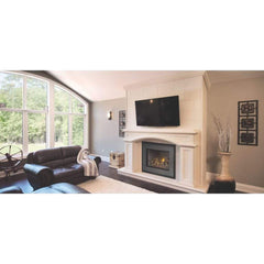 Napoleon 34-Inch Oakville X4 Direct Vent Gas Fireplace Insert High Efficiency Indoor GDIX4N-1