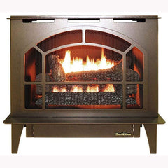 Buck Stove Townsend II Vent-Free Stainless Steel Gas Stove Indoor NV S-TOWNSEND Series