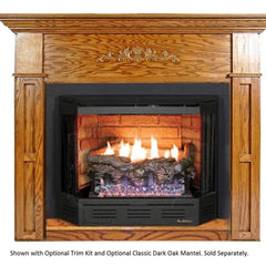 Buck Stove, Model 329, Freestanding Ventless Gas Stove with Blower, Natural Gas Fuel NV C329B3NAT