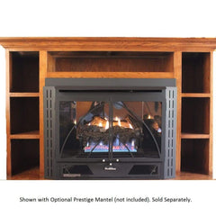 Buck Stove Model 34 Contemporary Vent Free Gas Stove with Blower Indoor NV 344EBNAT-CONTMP