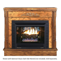 Buck Stove Model 34 Contemporary Vent Free Gas Stove with Blower Indoor NV 344EBNAT-CONTMP