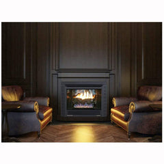 Buck Stove Model 34 Contemporary Vent Free Gas Stove with Blower Indoor NV 344EBNAT-CONTMP