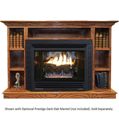 Buck Stove Model 34 Contemporary Vent Free Gas Stove with Blower Indoor NV 344EBNAT-CONTMP