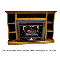 Buck Stove Model 34 Contemporary Vent Free Gas Stove with Blower Indoor NV 344EBNAT-CONTMP