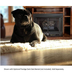 Buck Stove Model 34 Manhattan Vent Free Gas Stove with Blower Indoor NV 344EB Series