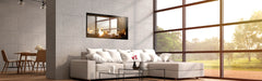 Plaza 55-Inch Linear See-Through Gas Fireplace with Screen Barrier Modern Design Indoor DVLXB55SP90N