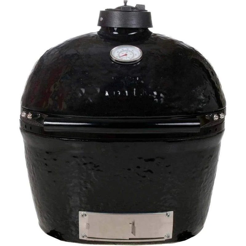 Primo Oval LG 300 Ceramic Kamado Charcoal Grill Head PGCLGH